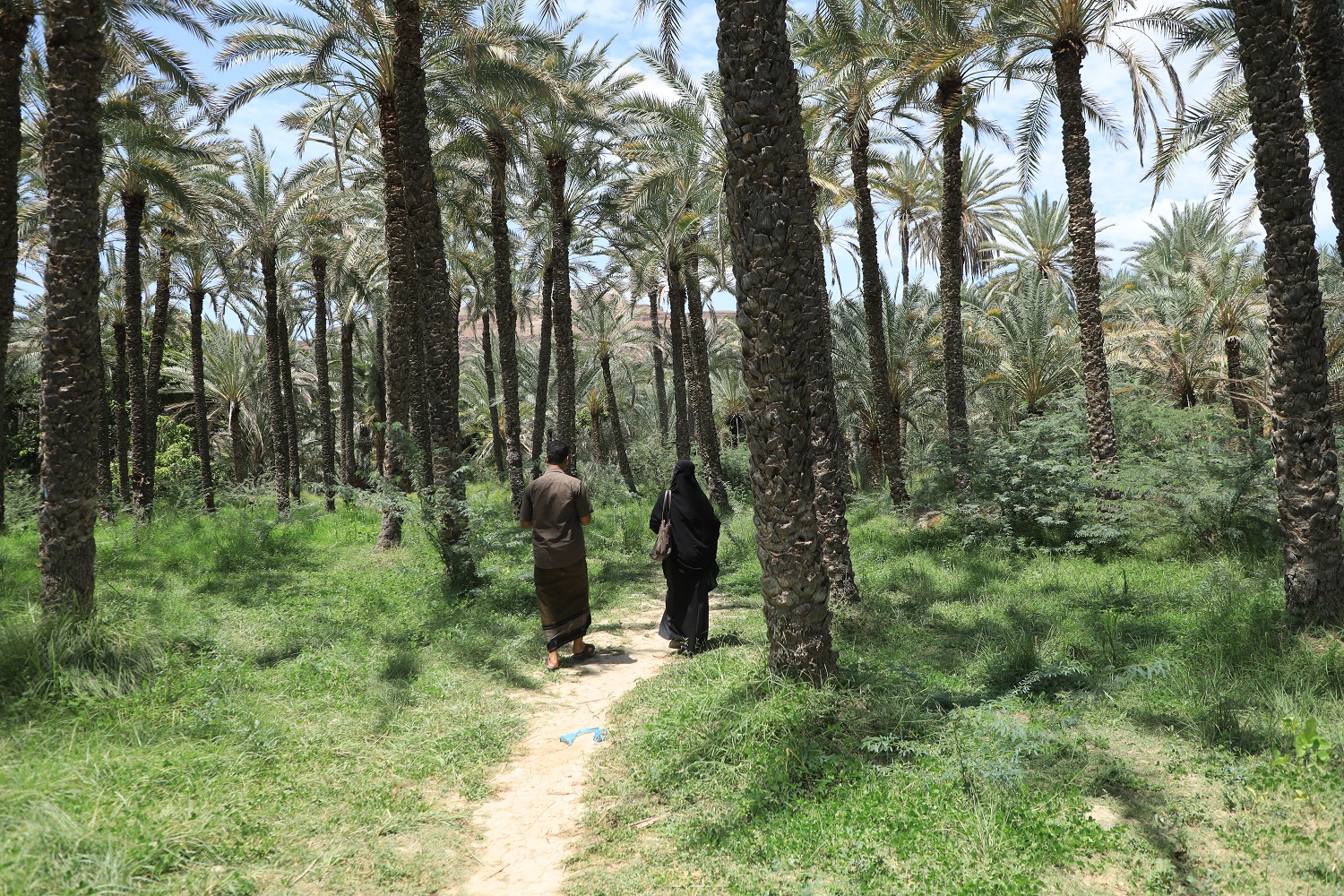 صورة