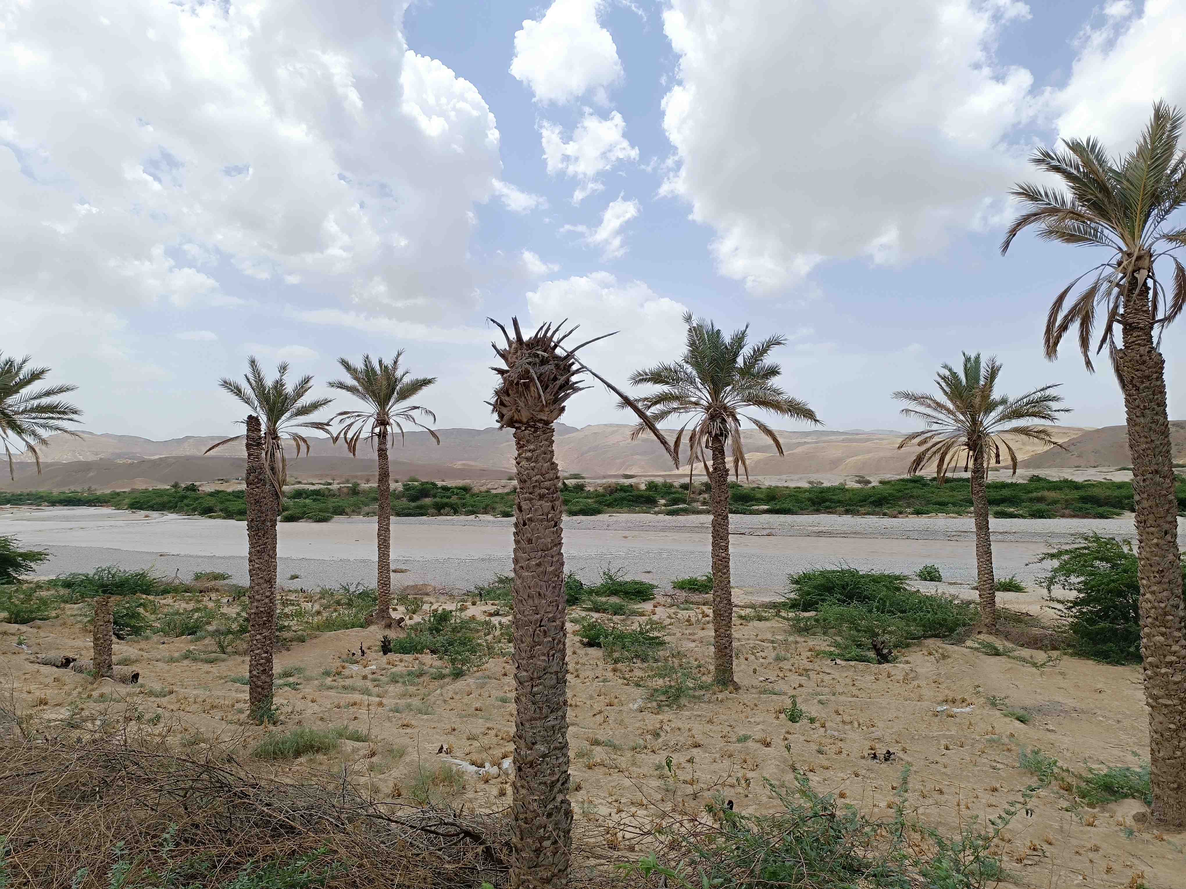 صورة