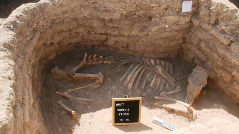 صورة