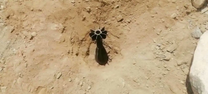 صورة