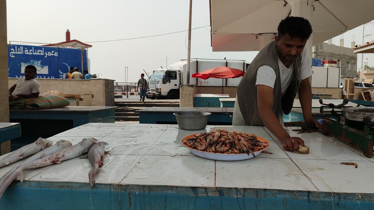 صورة