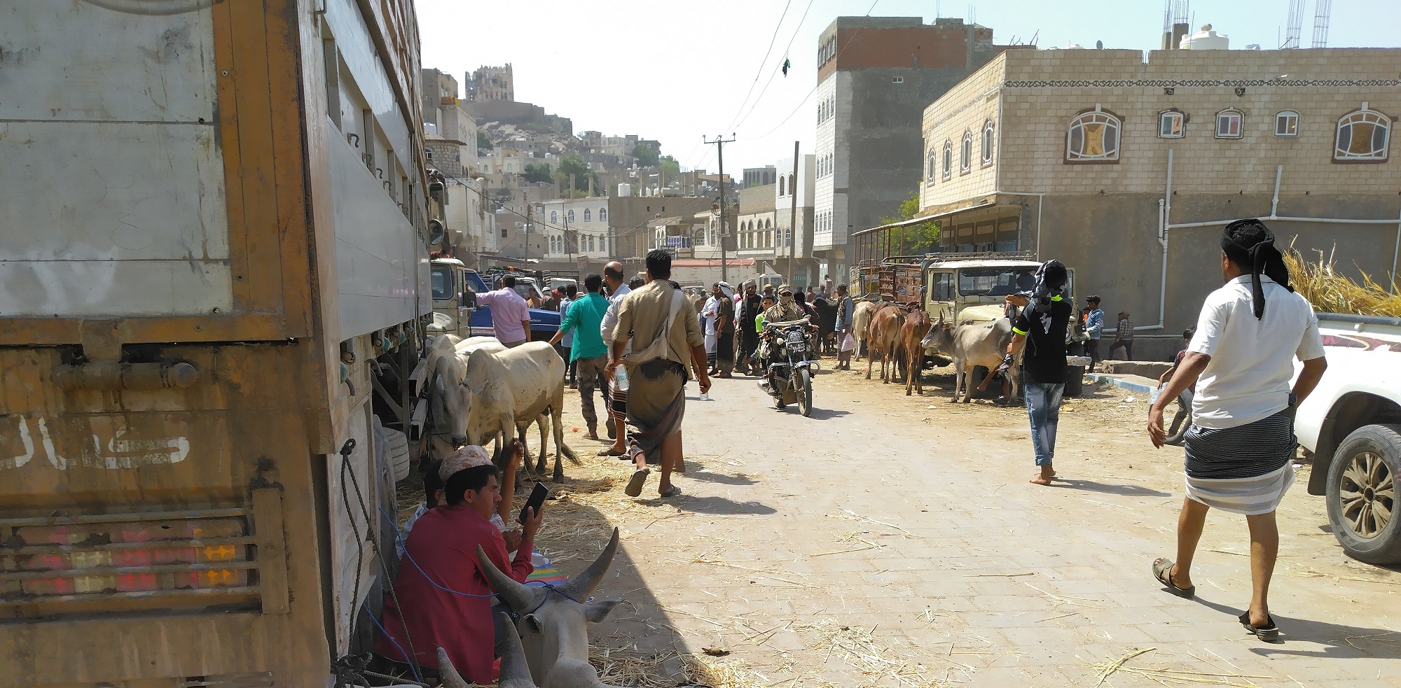 صورة
